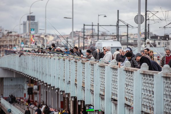 Panneau solaire photovoltaïque : les atouts d'arrivelec